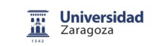 Convocatoria para la contratacin de Investigador Novel en la Universidad de Zaragoza